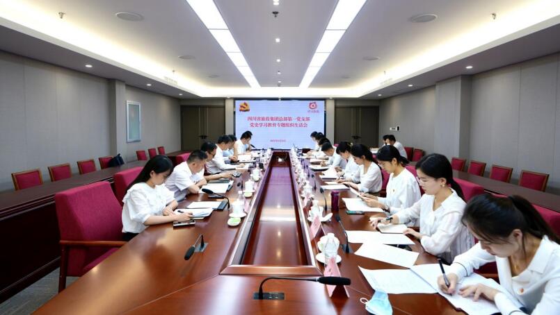 尊龙凯时集团党委书记、董事长任丁参加总部第一党支部党史学习教育专题组织生活会