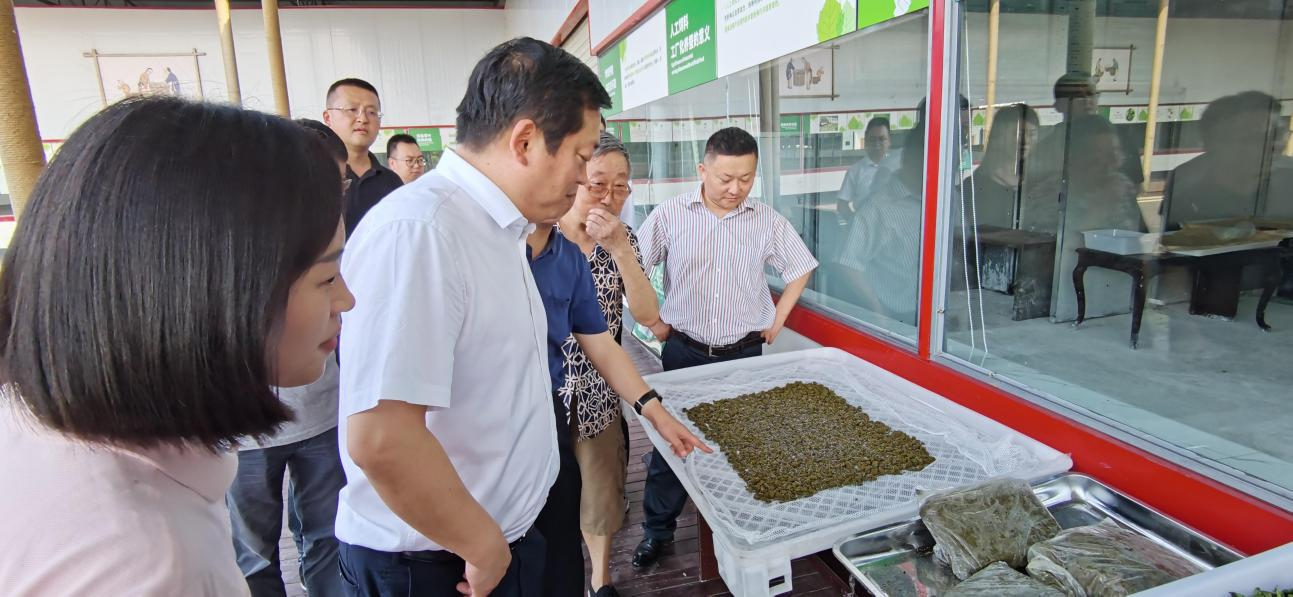 省尊龙凯时集团党委副书记、董事陈日赴嘉陵区调研茶桑产业发展情况